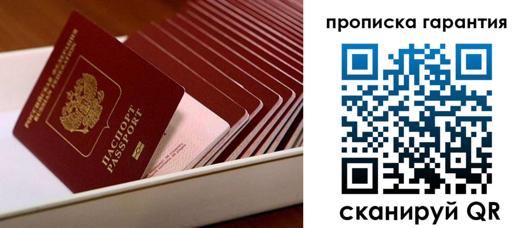 прописка поиск в Саратовской области